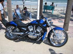 Harley-Custom (21).jpg